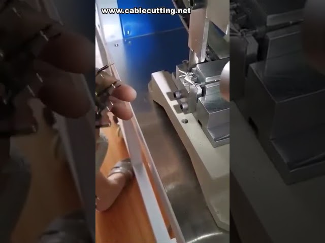 Mesin Crimping Separuh Automatik untuk Palam 2 Pin (EU) | Peralatan Penamatan Wayar