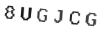 Verification Code Image